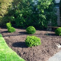 Mulching service in Pottsville Yeagerlandscaping.com